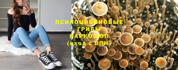 тгк Балахна