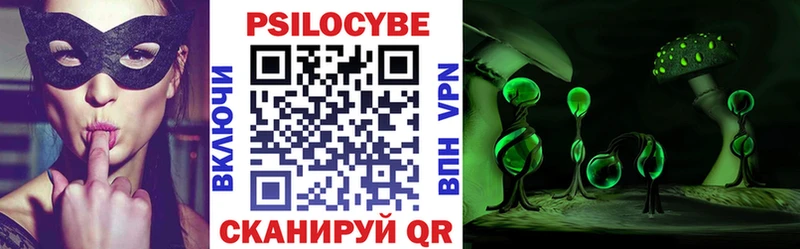 Псилоцибиновые грибы Psilocybine cubensis Заречный